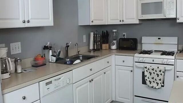 Charlee Chase fucks plumber