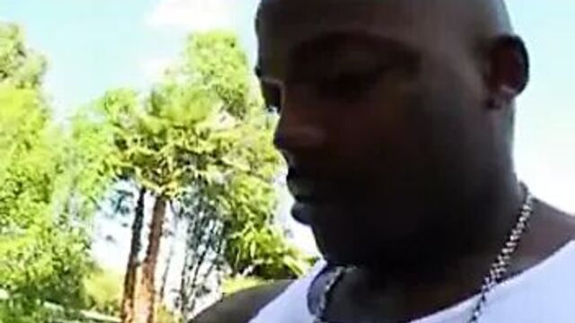 Autumn Moon and Victoria Allure FM14