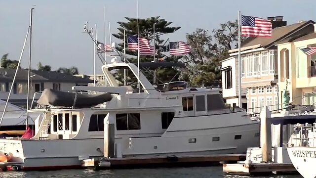 Whore of Wall Street, Brazzers