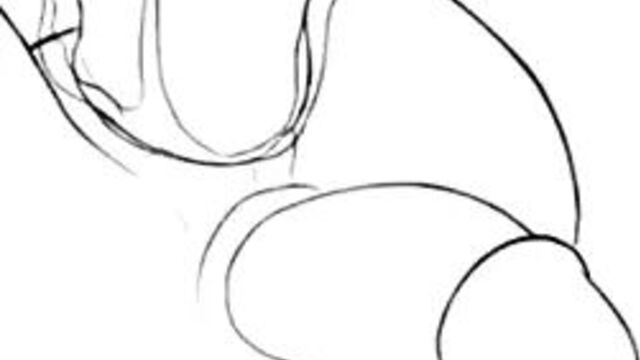 A most unusual erotic peril 1