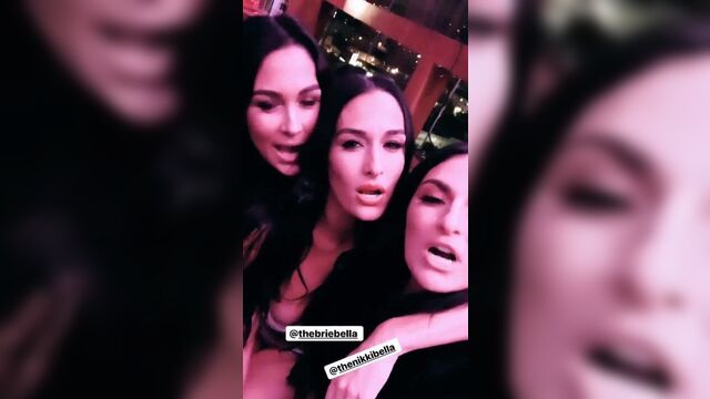 WWE - Sonya Deville, Nikki Bella, and Brie Bella selfie