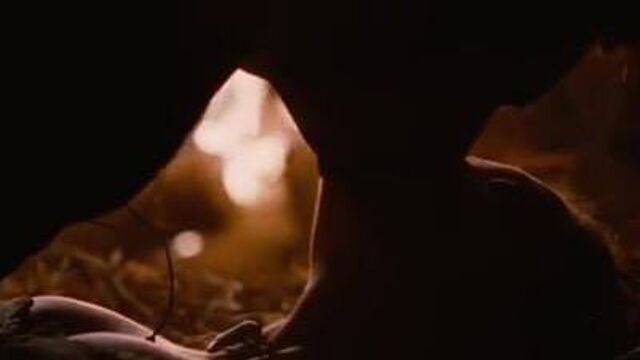 Amanda Seyfried - Red Riding Hood