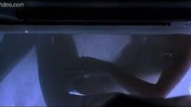 Celeb Pamela Anderson as sexy as ever