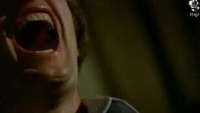 Rebecca Brooke from The Image (1975)