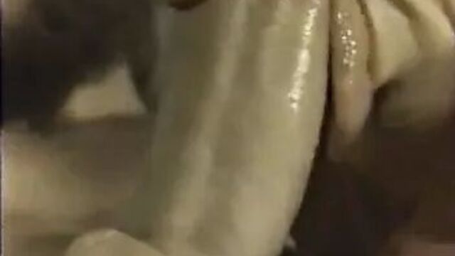 Candy Samples and John Holmes