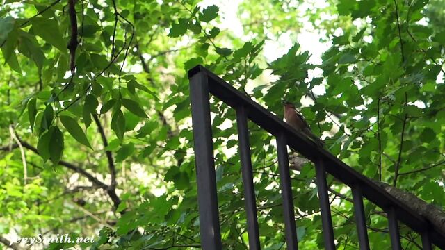 Summer Walk. Jeny Smith walking in public