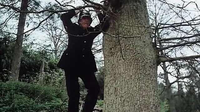 Helli Louise in The Ups and Downs of a Handyman 1976