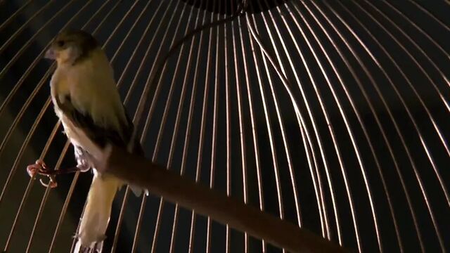 Angelina Jolie - Original Sin (2001)