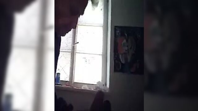 My wife's mother ...