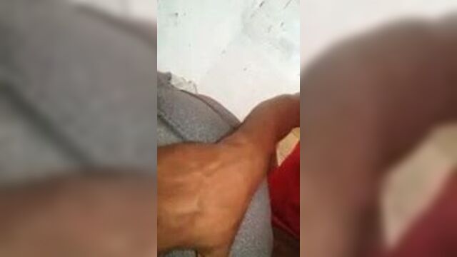 Belle Chatte bien grasse