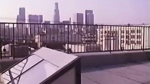 Shannon Tweed - Last Call